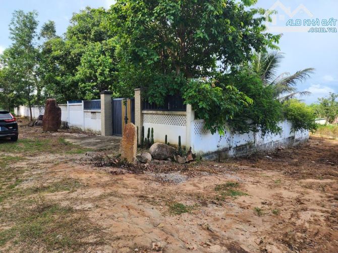 4.900m² CHÂN NÚI MINH ĐẠM MẶT TIỀN 58M SỔ RIÊNG ĐÃ XÂY RÀO CÓ VƯỜN CÂY GIÁ 2,3 TRIỆU/M2 - 3