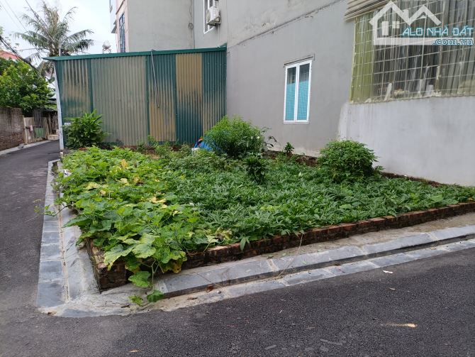 🔥 BÁN GẤP LÔ GÓC 2 MẶT THOÁNG 54M,  NHỎ XINH NAM HỒNG! 🔥 - 3