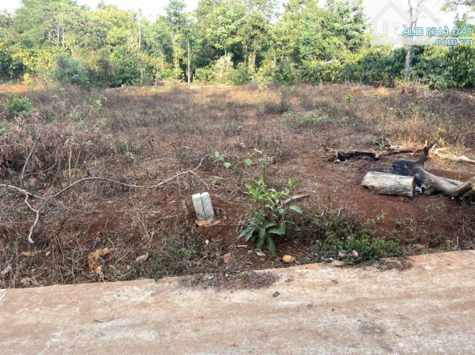 💥Đất TC 5*24m,880tr,Đường B5,Phạm Ngũ Lão,thôn 4,gần Vành Đai,nhiều lô khác - 3
