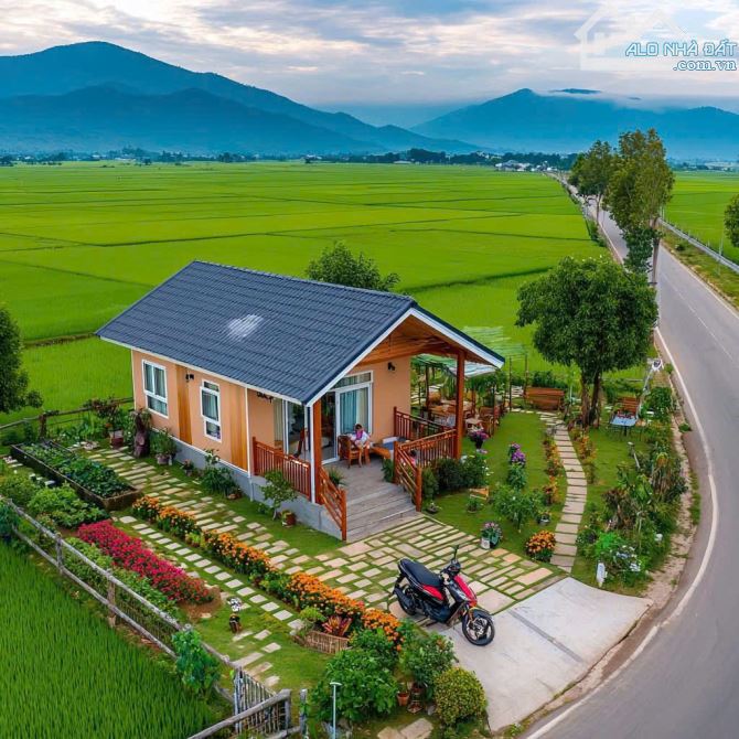 ĐẤT XÃ ĐẤT ĐỎ -TP HỒ CHÍ MINH LÔ GÓC 1042M THỔ CƯ 100M VIEW RUỘNG LÚA GIÁ 2,6 TRIỆU/M2 - 3