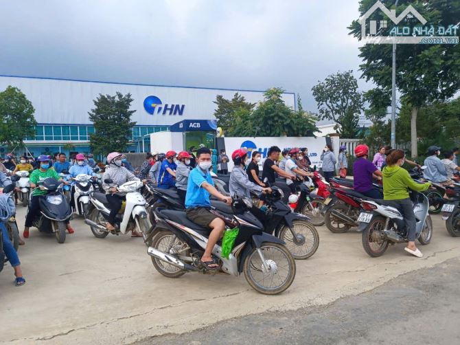 Bán gấp 5 lô đất Thạch Quảng full thổ cư 200 triệu/lô 250 m2 ven Khu công Nghiệp 148 ha - 3