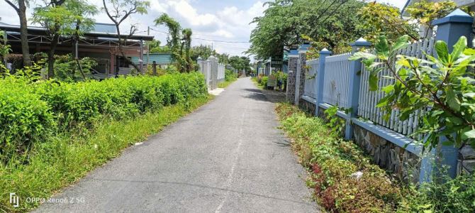 💎 Bán đất (10 x 50m) nhựa Huyện Lộ 97B (Hai cây lim), Phường Long Hưng, TP Gò Công cũ - 3