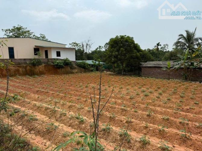 Cắt lỗ ô đất 100m2 full thổ vuông vắn tài chính chỉ 3xxtr Tại Xuân Hoà Lập Thạch - 4
