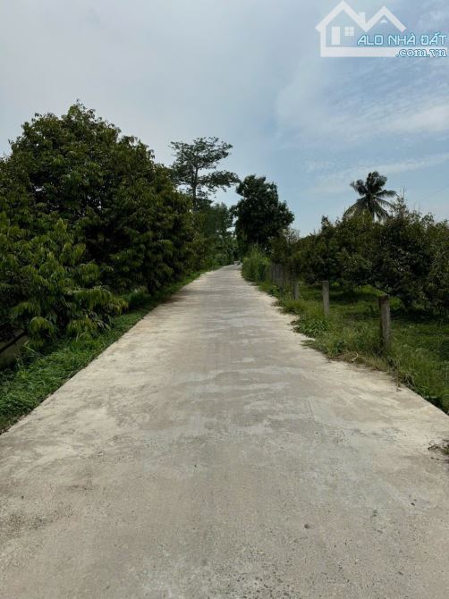 Vườn sầu riêng Nhơn Ái-Phong Điền 2.300m2 giá 1 tỷ 150 triệu - 4