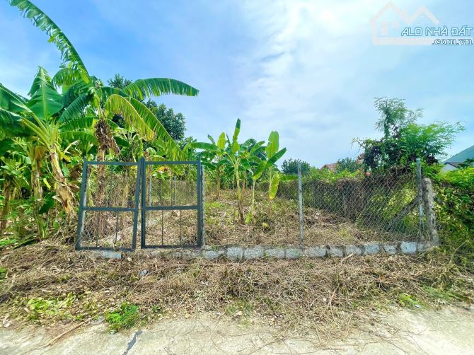 Bán đất 209m2 view cánh đồng đẹp Xã Diên Khánh, Khánh Hòa - 4