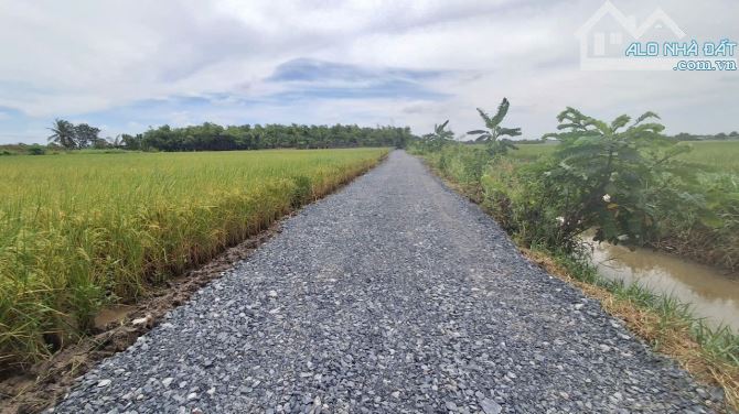 ⭐⭐THỔ CƯ LONG AN GIÁ RẼ. DT: 5X30M GIÁ 420TR. ĐƯỜNG XE Ô TÔ. VIEW KÊNH - 4