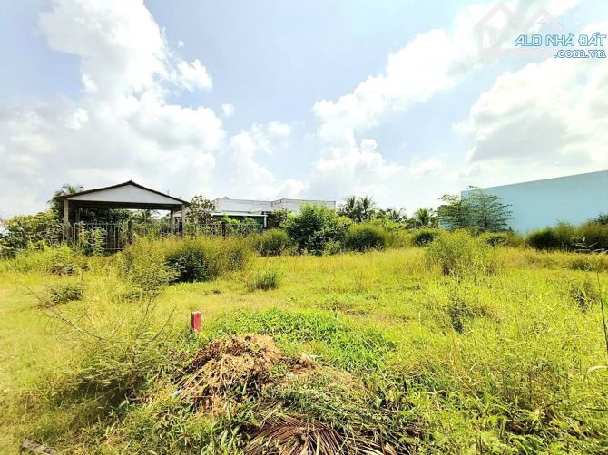 Hàng thơm, 165m2 đất thổ 5.5 x32m đường nhựa cực đẹp, 1.15 tỷ - 4