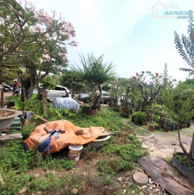 LINH XUÂN- NHÀ+PHÒNG TRỌ CON DU HỌC- HẺM Ô TÔ- 1172m2 (34mx34m)- CHỈ 50 TỶ (TL) - 4