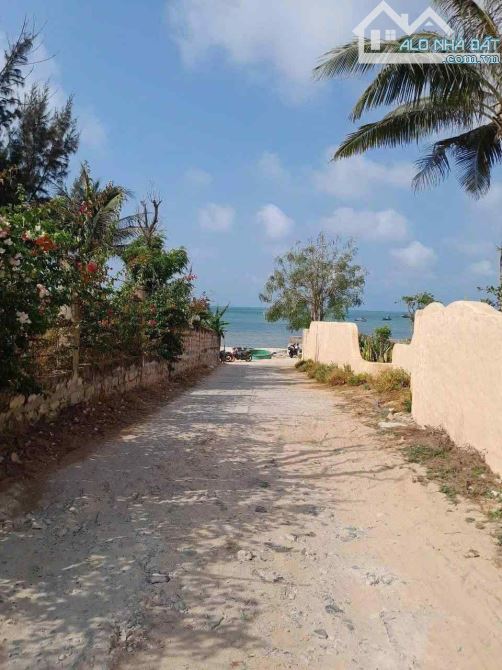 Bán 1.250m2 đất gần mũi Kê Gà, Bình Thuận. Đất cách biển khoảng 30m - 4