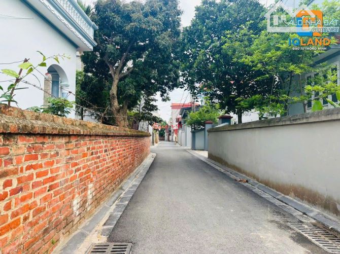 HÀNG ĐẶC BIỆT – ĐÌNH TRUNG, XUÂN NỘN 🌟 📍 Đông Anh, Hà Nội - 5