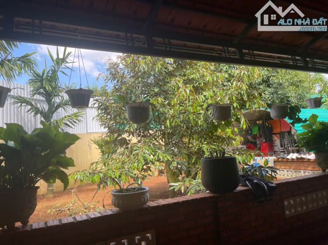 BÁN LÔ ĐẤT SÀO SẦU RIENG ĐẸP TẠI XÃ EATU ĐẦU TƯ HOẶC Ở NGHỈ DƯỠNG ĐỀU TUYỆT VỜI - 5