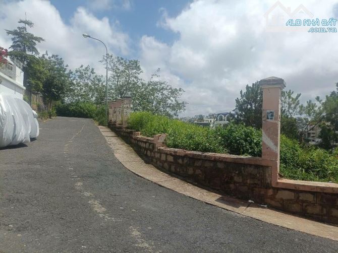 Bán đất biệt thự 2 mặt tiền Đống Đa, Phường 3, TP. Đà Lạt – 548m², view thông đẹp - 5