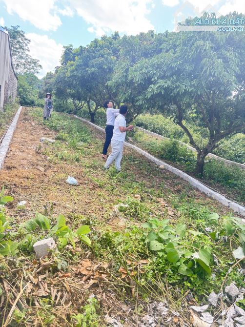 Cần chuyển nhượng lô đất S=121,7m2 full ONT, vuông vắn, cách chợ, ủy ban chỉ 200m - 4