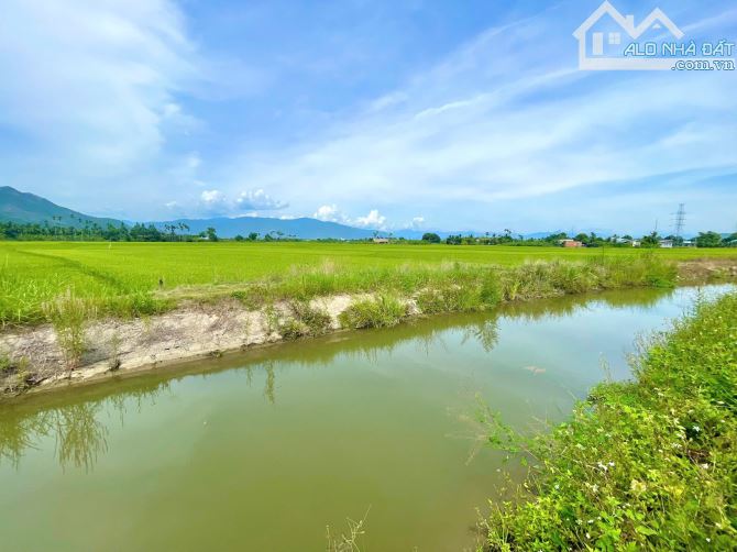 Bán đất 209m2 view cánh đồng đẹp Xã Diên Khánh, Khánh Hòa - 5