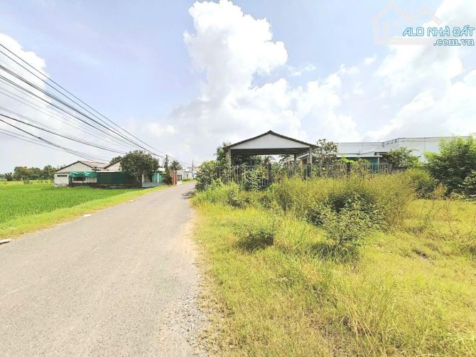 Hàng thơm, 165m2 đất thổ 5.5 x32m đường nhựa cực đẹp, 1.15 tỷ - 5