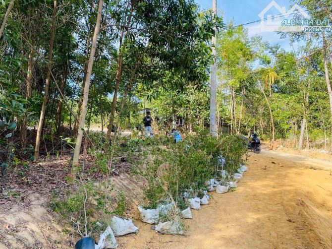 Bán đất View Sông Truồi thơ mộng Xã Lộc Hoà,Huyện Phú Lộc,TP Huế - 5