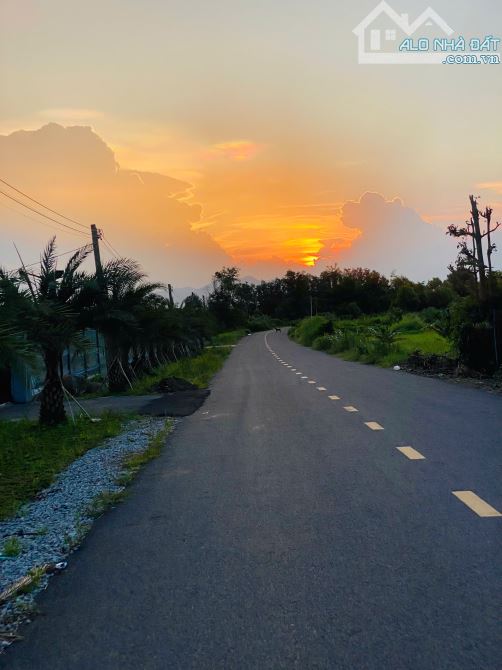 ĐẤT XÃ ĐẤT ĐỎ -TP HỒ CHÍ MINH LÔ GÓC 1042M THỔ CƯ 100M VIEW RUỘNG LÚA GIÁ 2,6 TRIỆU/M2 - 5