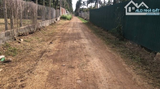 SIÊU RẺ - BÁN 2 SÀO XÃ HOÀ  THUẬN ĐẤT ĐẸP, MẶT TIỀN RỘNG 20M - 6