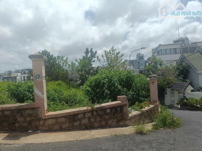 Bán đất biệt thự 2 mặt tiền Đống Đa, Phường 3, TP. Đà Lạt – 548m², view thông đẹp - 6