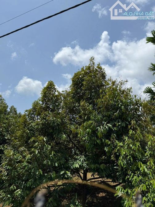 SIÊU RẺ - BÁN 2 SÀO XÃ HOÀ  THUẬN ĐẤT ĐẸP, MẶT TIỀN RỘNG 20M - 7