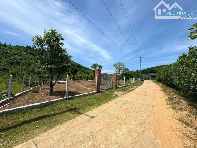 Bán Vườn Khánh Đông - Khánh Vĩnh, Khánh Hòa FULL ONT Giá 2Ty850 - 7