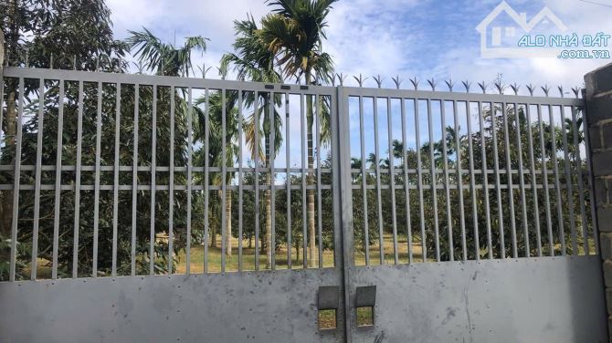 SIÊU RẺ - BÁN 2 SÀO XÃ HOÀ  THUẬN ĐẤT ĐẸP, MẶT TIỀN RỘNG 20M - 8