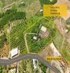 Bán Farm Sinh Thái 16.240m² Diên Thọ, Diên Khánh , Khánh Hòa phù hợp xây nhà yến, trang tr