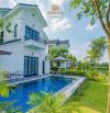Bán villas Vườn Vua Thanh Thủy Phú Thọ 337m ,2t, 4pn, dòng tiền, chỉ 7.4tỷ