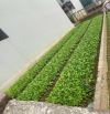 🚀🚀🚀  Siêu Hiếm trục chính oto chạy vòng quanh  Vĩnh Lộc - Thư Phú   🍀 DT : 68 m2 🍀 MT