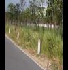 Công ty cần bán 1,5 ha khu công nghiệp Phố Nối A chỉ 3,5 triệu/m2