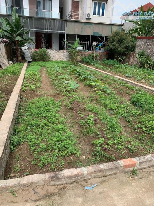 phân lô cổ loa- ô tô đỗ cửa , gần vin cổ loa, cầu tứ liên