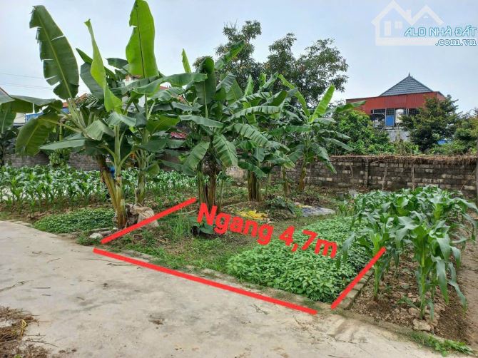 Chỉnh chủ bán Quảng Thanh ngõ nông ô tô đỗ cửa giá chỉ 7xx tr.  ♻️ Diện tích 60m2 mặt tiền