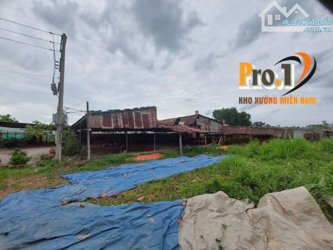 Cho thuê đất và xưởng 5000m2 Phước Tân, Biên Hòa, Đồng Nai
