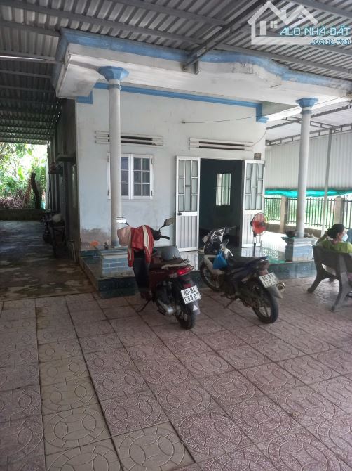 Bán Đất tặng Nhà-Phú Mỹ-Tuyên Quang(Hàm MỸ cũ)-Lâm Đồng-370m2,có 200m2TC