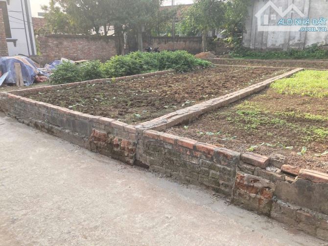 Bán gấp đất đấu giá Phúc Tiến, Biên Giang, Hà Đông  giá đầu tư, 3,2 tỷ, 55m2 mặt tiền 5m