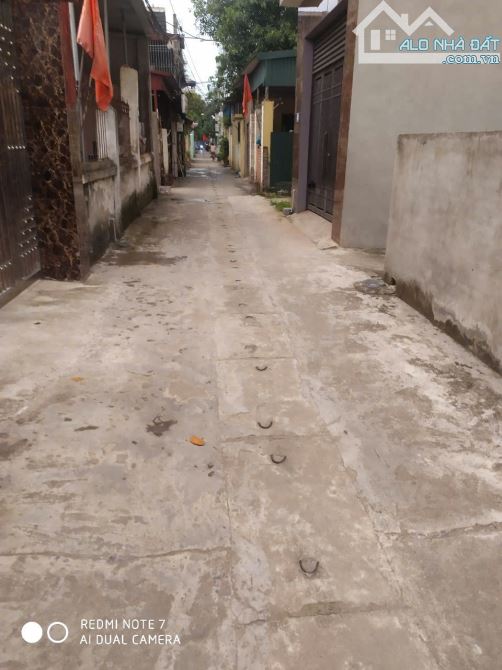 Hàng F0 dân cắt bán tại Đổng Xuyên, Thuận An, Gia Lâm