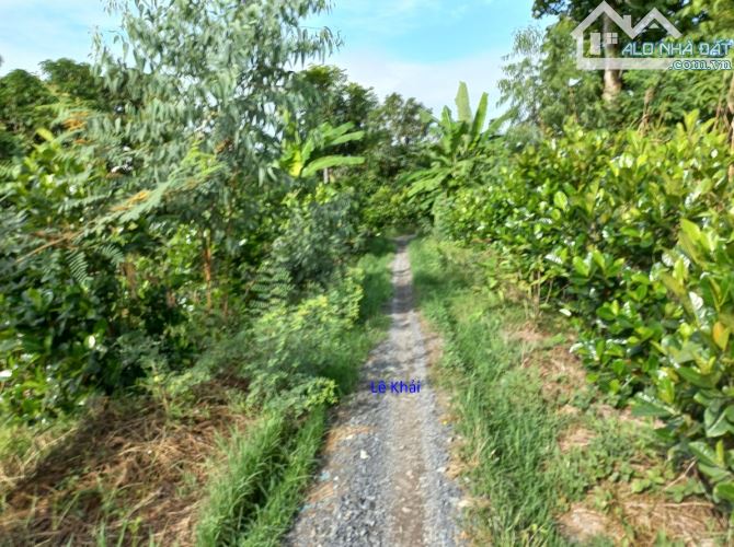 🔰 Bán đất lúa: 36.000m²(Mặt tiền 110m, nở hậu) 🔰 Đường đá xe ba gác, xã Ba Sao