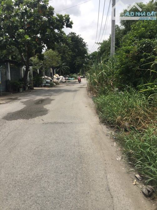 Bán 2 lô đất mặt tiền đường nhị bình 15 hóc môn
