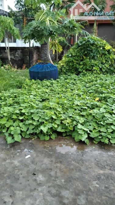 LÔ GÓC.Mảnh đất vàng giữa Làng Gia Lâm