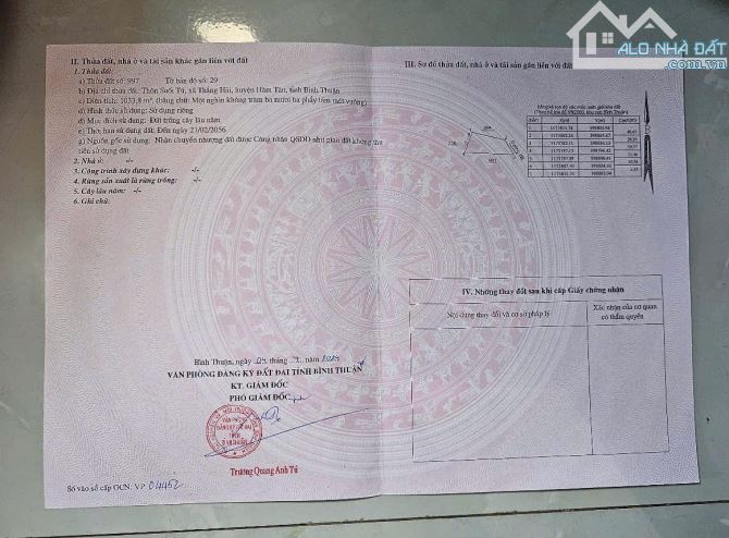khả năng Đầu Tư Vàng: 1033m2 Đất Thổ Cư Quốc Lộ 55, Hàm Tân - Bình Thuận, Chỉ 1 Tỷ!