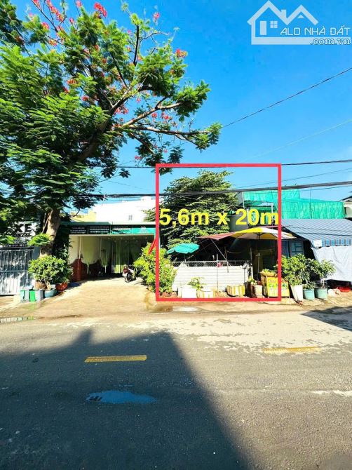 Bán lô đất đẹp Mặt Tiền Đường Số 16, P Cát lái ( TML cũ ) Tp Hồ Chí Minh