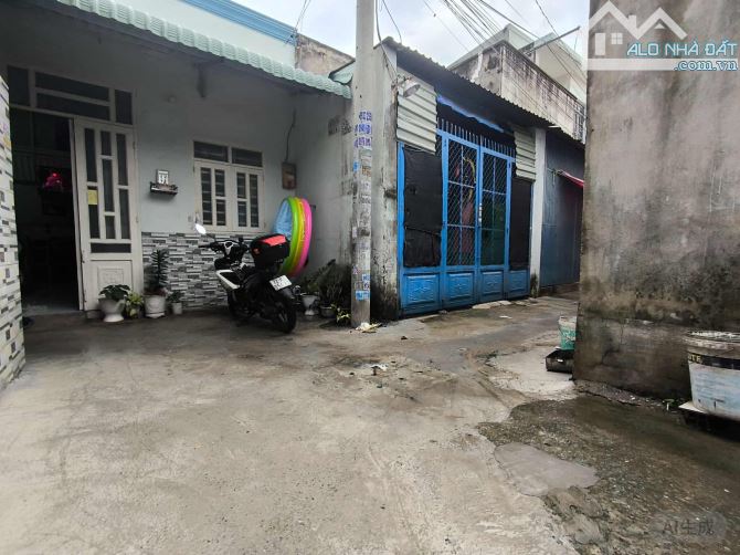 🌼🌹Thơm phức👉quá rẻ💰❤️Chỉ 2.35 t.ỷ👉DT( 5*11)