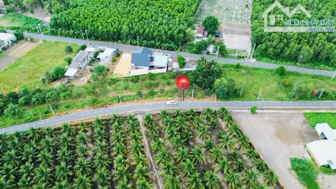 🥑 BÁN VƯỜN BƠ – TRUNG TÂM THỊ TRẤN PHƯỚC HẢI – GẦN BIỂN 🏝️