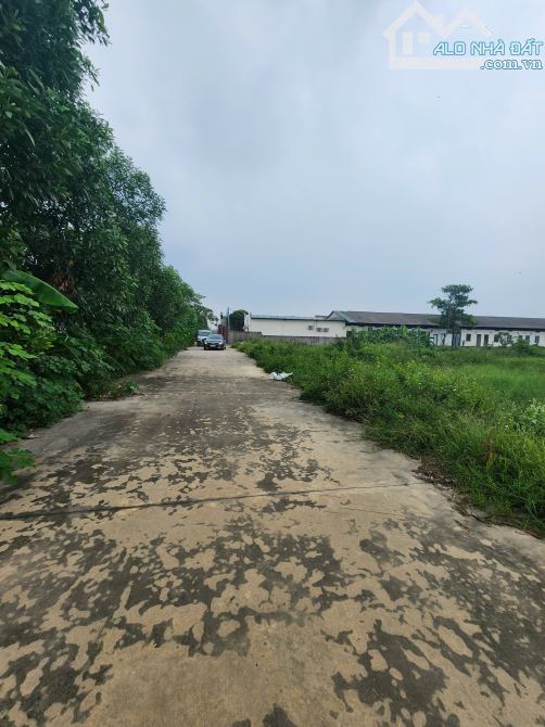 ⛳Bán Khu Đất Trang Trại Do Nha, Phương Liễu, Đường Xe Container Mt 50m Dt 4000m2 Giá 10 Tỷ