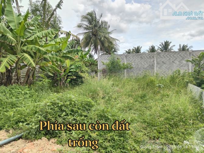 Bán nhà mới xây 198m2 có 50m2 thổ đường oto