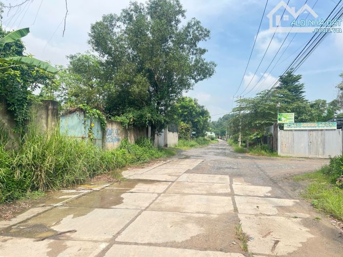 bán đất 16x66m kp thiện tân, p.trảng dài. sổ riêng qh skc thích hợp làm xưởng 3,9 tỷ