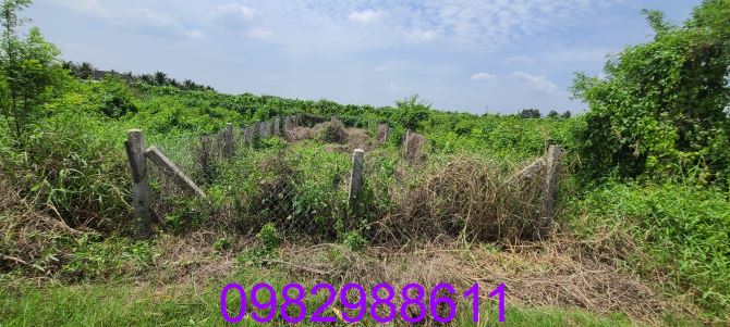 Bán 100m² đất thổ cư chính chủ, SHR, huyện Châu Thành, tỉnh Long An