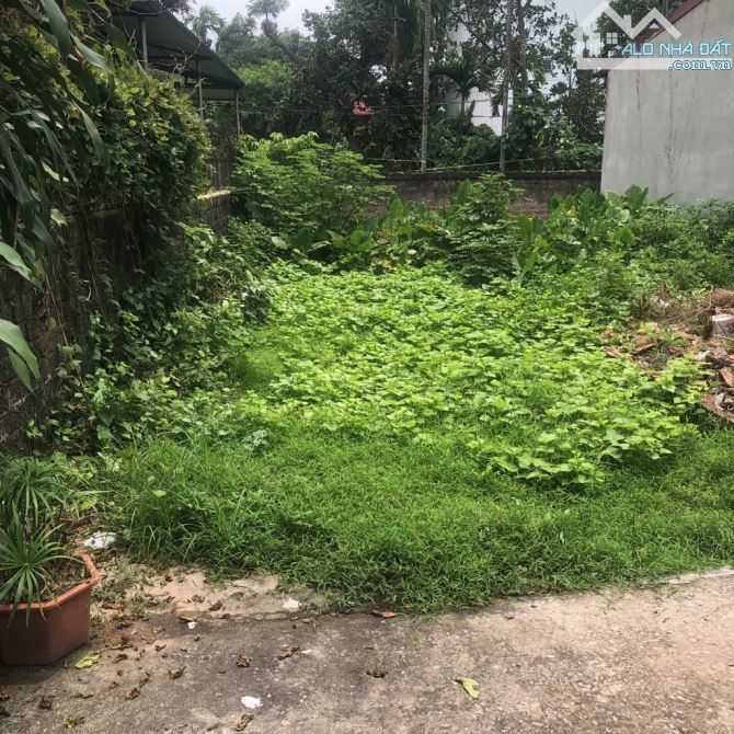 Bán đất Phúc Thành, Biên Giang – 48m², giá đầu tư Vị trí đẹp, gần bến xe Yên Nghĩa, ngõ rộ