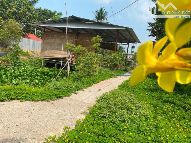 BÁN ĐẤT KHU NGHĨ DƯỠNG ĐƯỜNG LÊ HỒNG PHONG, KV BÌNH HƯNG, PHƯỚC THỚI, Ô MÔN