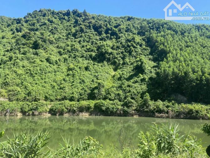 Đất trang trại hòa bắc view sông cu đê, 33000m2 có 400m2 đất ở mặt tiền DT601. - 1
